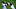 MLB DFS MLB DFS