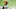 Green Bay Packers