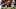 Cleveland Browns Cleveland Browns