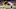 dallas cowboys dallas cowboys