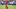 Seattle Sounders