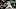 philadelphia phillies philadelphia phillies