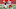 NCAA Football: Western Kentucky at Miami (Ohio)