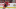 ottawa senators ottawa senators