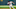 Houston Astros outfielder