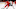 Detroit Red Wings Detroit Red Wings