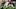 Green Bay Packers