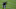 DraftKings DraftKings