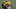 Michigan Wolverines Michigan Wolverines