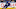 Toronto Maple Leafs, David Kampf Toronto Maple Leafs, David Kampf