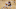 Indiana Pacers Indiana Pacers
