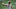 Deshaun Watson, Houston Texans Deshaun Watson, Houston Texans