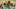 Phoenix Suns Phoenix Suns