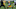 Green Bay Packers Green Bay Packers