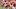 Kansas City Chiefs running back Spencer Ware Kansas City Chiefs running back Spencer Ware