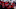 RALEIGH, NC – APRIL 15: Washington Capitals fans wait for the team to take the ice for warmups during a game between the Carolina Hurricanes and the Washington Capitals on April 15, 2019, at the PNC Arena in Raleigh, NC. (Photo by Greg Thompson/Icon Sportswire via Getty Images) RALEIGH, NC – APRIL 15: Washington Capitals fans wait for the team to take the ice for warmups during a game between the Carolina Hurricanes and the Washington Capitals on April 15, 2019, at the PNC Arena in Raleigh, NC. (Photo by Greg Thompson/Icon Sportswire via Getty Images)