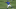 Chicago Cubs, Nico Hoerner Chicago Cubs, Nico Hoerner