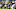Ben Bredeson, Michigan Wolverines Ben Bredeson, Michigan Wolverines