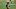 Detroit Lions, Jamaal Williams Detroit Lions, Jamaal Williams