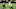 Green Bay Packers Green Bay Packers