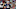 New England Patriots, Fantasy Football New England Patriots, Fantasy Football