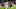 MADRID, SPAIN – DECEMBER 06: Nacho Fernandez of Real Madrid competes for the ball with Raphael Guerreiro of Borussia Dortmund during the UEFA Champions League group H match between Real Madrid CF and Borussia Dortmund at Estadio Santiago Bernabeu on December 6, 2017 in Madrid, Spain. (Photo by Victor Carretero/Real Madrid via Getty Images) MADRID, SPAIN – DECEMBER 06: Nacho Fernandez of Real Madrid competes for the ball with Raphael Guerreiro of Borussia Dortmund during the UEFA Champions League group H match between Real Madrid CF and Borussia Dortmund at Estadio Santiago Bernabeu on December 6, 2017 in Madrid, Spain. (Photo by Victor Carretero/Real Madrid via Getty Images)