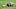 HOUSTON, TX – FEBRUARY 05: Tom Brady (Photo by Jamie Squire/Getty Images)