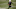 fantasy football fantasy football
