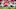 Georgia Football
