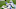 dallas cowboys dallas cowboys