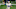 Ranking every starting quarterback in 2021 NFL Wild Card Round Ranking every starting quarterback in 2021 NFL Wild Card Round