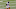 Chicago Bears, Tyree Gillespie Chicago Bears, Tyree Gillespie