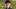 Andrew L. Ferguson Jr Andrew L. Ferguson Jr