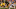 TAMPA, FL – JANUARY 2: Running back Akrum Wadley #25 of the Iowa Hawkeyes slips a tackle by defensive back Marcell Harris #26 of the Florida Gators during a carry in the third quarter of the Outback Bowl NCAA college football game on January 2, 2017 at Raymond James Stadium in Tampa, Florida. (Photo by Brian Blanco/Getty Images) TAMPA, FL – JANUARY 2: Running back Akrum Wadley #25 of the Iowa Hawkeyes slips a tackle by defensive back Marcell Harris #26 of the Florida Gators during a carry in the third quarter of the Outback Bowl NCAA college football game on January 2, 2017 at Raymond James Stadium in Tampa, Florida. (Photo by Brian Blanco/Getty Images)