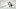 Detroit Red Wings Detroit Red Wings
