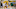 NY Knicks, Julius Randle, Corey Kispert, Moses Moody, Chris Duarte, Trey Murphy