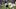 Juventus, Edgar Davids Juventus, Edgar Davids