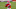 Clyde Edwards-Helaire, Kansas City Chiefs Clyde Edwards-Helaire, Kansas City Chiefs