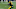 Pittsburgh Steelers corner Joe Haden. Mandatory Credit: Charles LeClaire-USA TODAY Sports