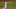 DraftKings DraftKings