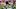 Chicago Bears, Jarvis Landry Chicago Bears, Jarvis Landry