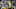 Green Bay Packers, Anders Carlson, Preseason Week 1 Green Bay Packers, Anders Carlson, Preseason Week 1
