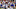 Buffalo Bills Buffalo Bills