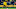 DORTMUND, GERMANY – FEBRUARY 29: (BILD ZEITUNG OUT) Dan-Axel Zagadou of Borussia Dortmund controls the ball during the Bundesliga match between Borussia Dortmund and Sport-Club Freiburg at Signal Iduna Park on February 29, 2020 in Dortmund, Germany. (Photo by Max Maiwald/DeFodi Images via Getty Images) DORTMUND, GERMANY – FEBRUARY 29: (BILD ZEITUNG OUT) Dan-Axel Zagadou of Borussia Dortmund controls the ball during the Bundesliga match between Borussia Dortmund and Sport-Club Freiburg at Signal Iduna Park on February 29, 2020 in Dortmund, Germany. (Photo by Max Maiwald/DeFodi Images via Getty Images)