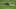 Trent Grisham of the Padres making a diving grab in center field.