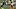Philadelphia Eagles Philadelphia Eagles