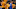 Leicester City Leicester City