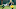 Green Bay Packers