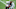 New England Patriots J.C. Jackson New England Patriots J.C. Jackson