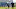 D.J. Foster Patriots D.J. Foster Patriots